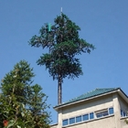Monopole Toren van het pijnboom de Boom Gecamoufleerde Staal voor Telecommunicatie