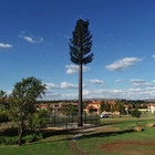 De gegalvaniseerde Boom van de de Camouflagepijnboom van Staal Monopole Torens Mobiele