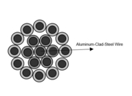 Leider Clad Steel Wire ACSR van het Krachtcentrale de Naakte Aluminium