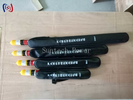 Professionele Elektroscoop 10-500KV voor Elektrische Ladingdetectie
