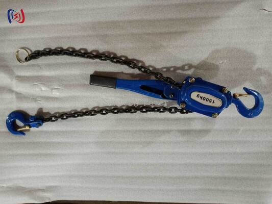 Professionele Kettingtakel met 5-90KN Nominale Belasting voor Energieonafhankelijke en Precisiebelastingpositionering in Elektrische Apparatuur