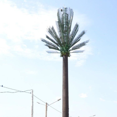De gecamoufleerde van de Communicatie Toren Pijnboompalm 0m - 80m Hoogte