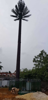 De gecamoufleerde van de Communicatie Toren Pijnboompalm 0m - 80m Hoogte