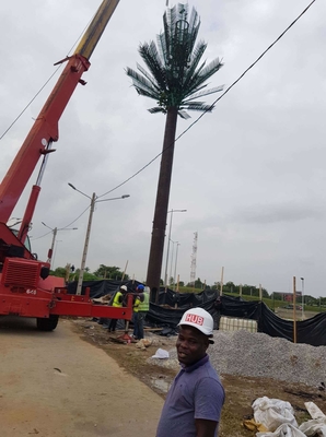 Monopole Toren van het pijnboom de Boom Gecamoufleerde Staal voor Telecommunicatie