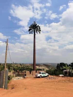 De gecamoufleerde Monopole Toren van het Palmstaal voor Telecommunciation